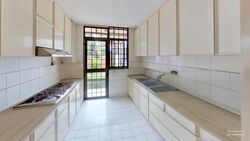 Thomson Park (D20), Terrace #459553541